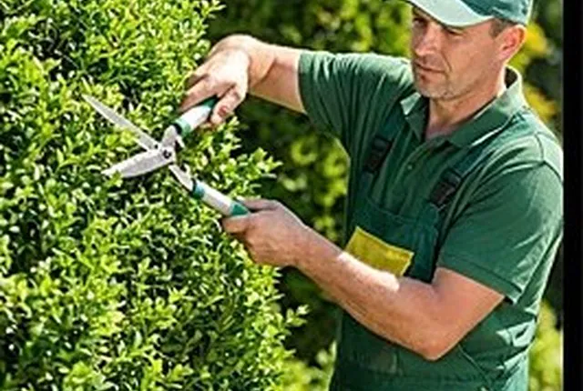 Mantención de jardín — rubro servicios en la demo animada