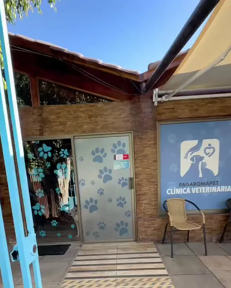 Entrada de la clínica: puerta de vidrio con huellas azules y el logo en la ventana
